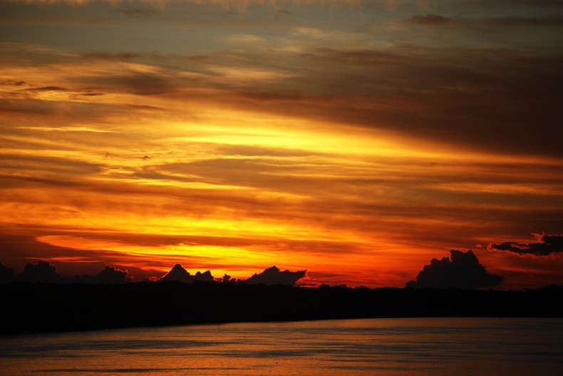 亚马逊河最凶猛的是什么,亚马逊森林人类禁区