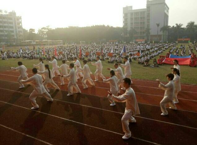 肇庆不限户籍的学校,肇庆不限户籍的中学