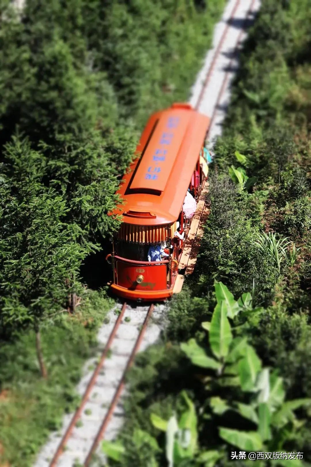 勐海旅游攻略自由行路线图,中国旅游日云南西双版纳