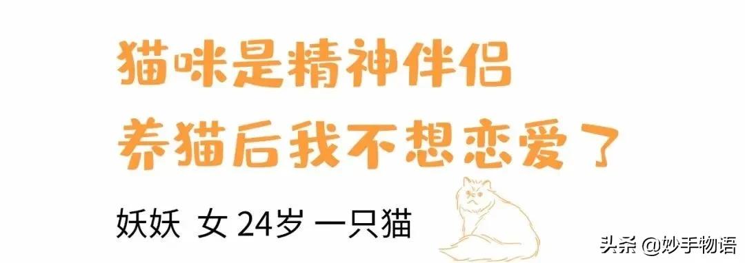 为什么总有人说养猫不如养小孩,年轻人不生孩子反而开始养猫了