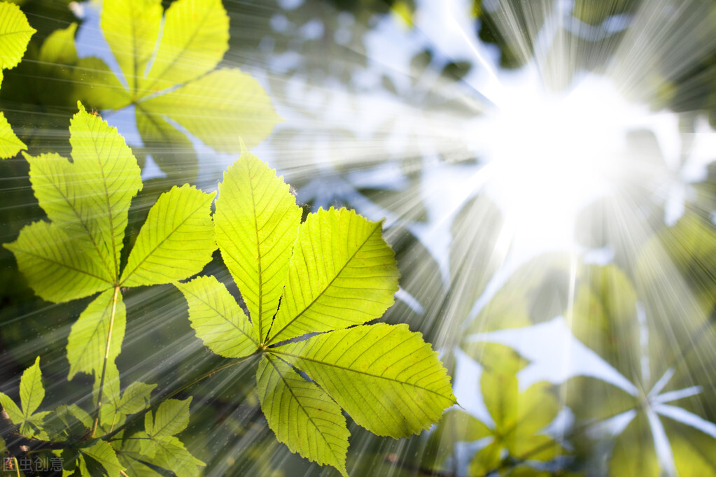 工作不顺利心情很不好,工作状态不好心情烦躁