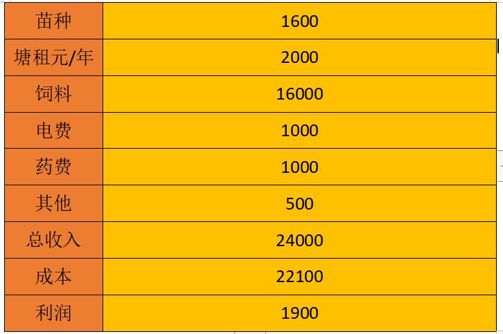 未来3年泥鳅价预测,今年泥鳅市场价能卖多少元一斤