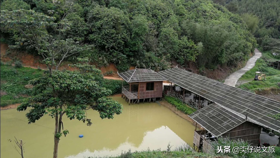 春田花花生态农场,广宁春田花花生态农场