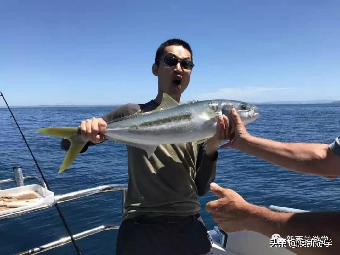 奥克兰旅游让生活更美,奥克兰旅游攻略海边穿搭