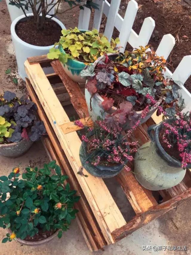 怎么打造低成本花园,怎么用几十元造花园