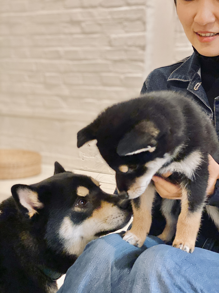 撸动物的网红店顺德,撸小动物的网红店北京世纪金源