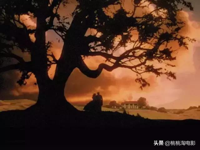 值得一看的一百部电影,重温经典100部电影