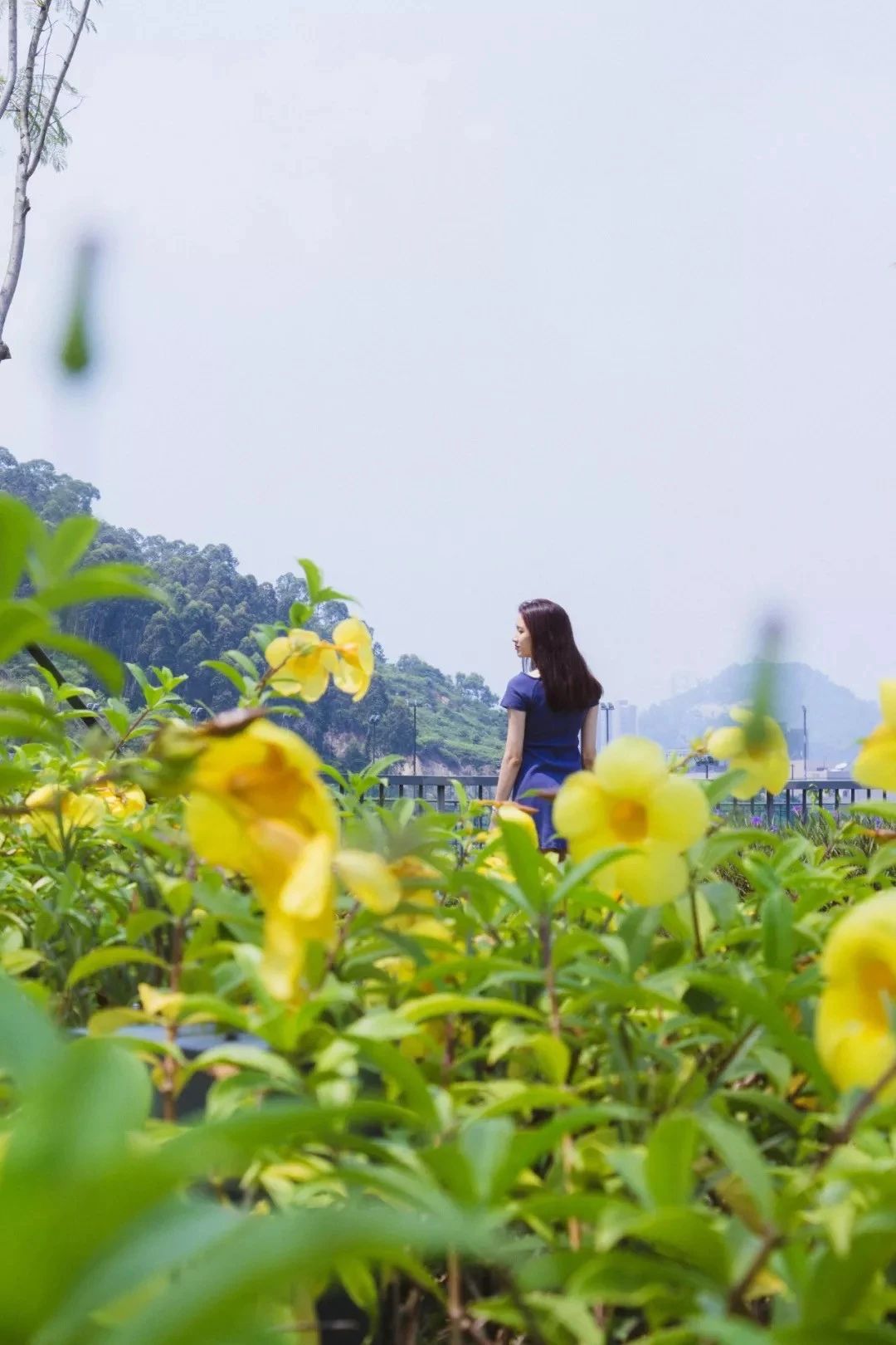 深圳10大旅游好去处,深圳盐田区周末休闲浪漫好去处