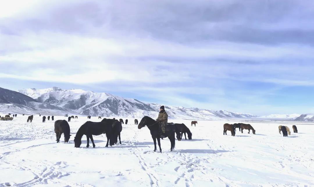 兵哥哥骑马飞奔,骑马的兵哥哥照片