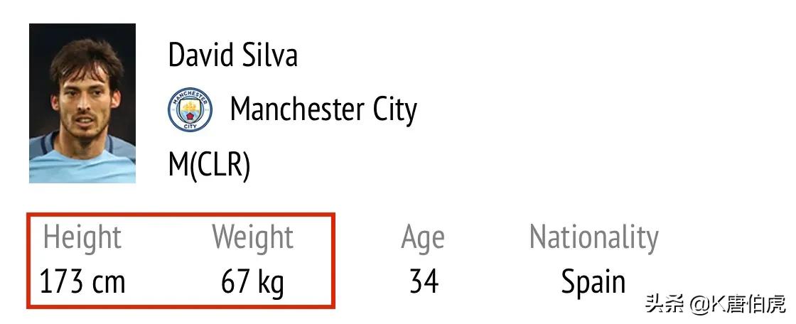 深度解析|曼城队魂大卫.席尔瓦的足球造诣