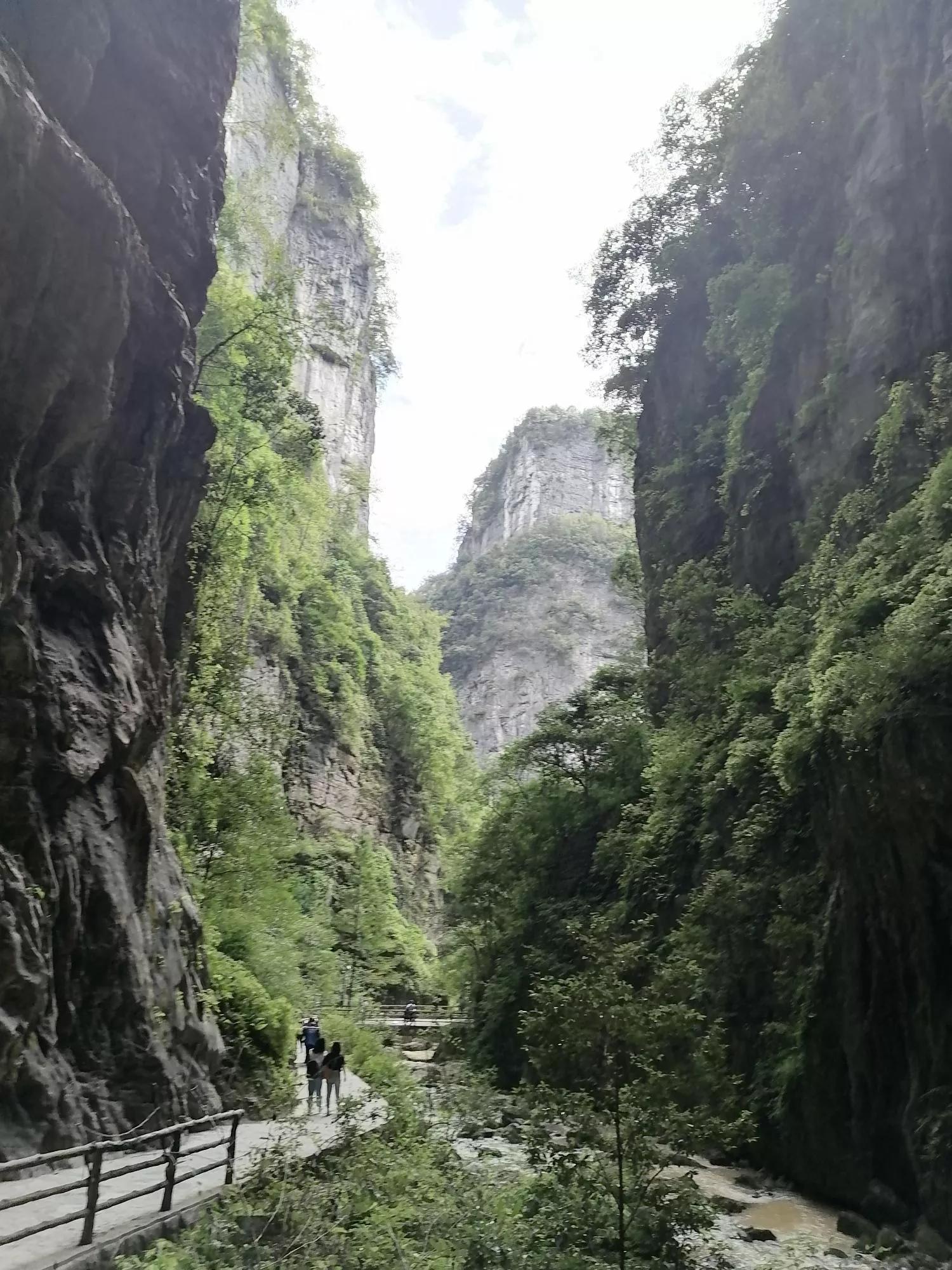 重庆武隆天坑三桥旅游一日游,重庆武隆天坑旅游详细攻略