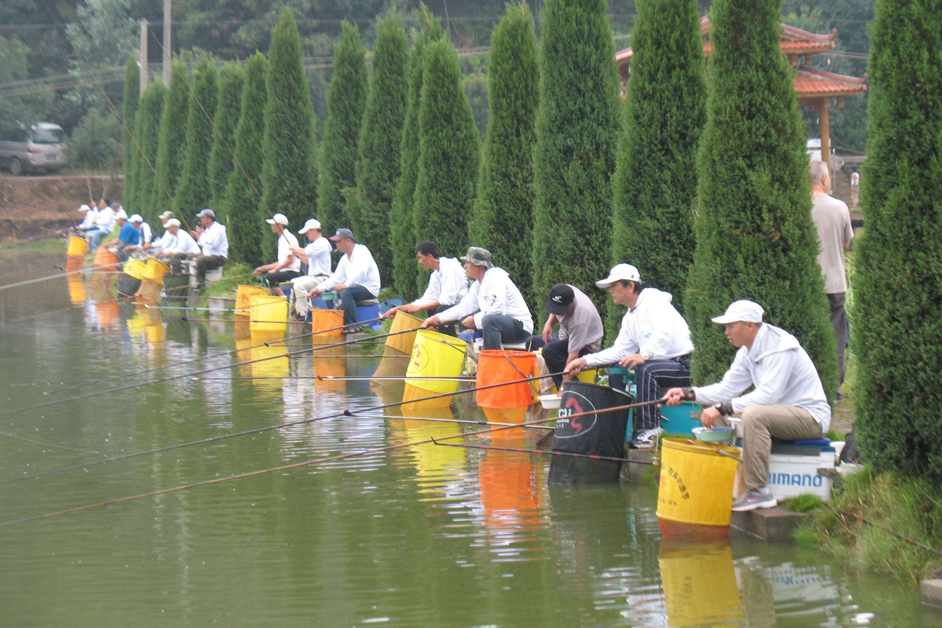 黑坑添加小药的正确方法与技巧,野钓钓鱼小药排行榜第一名