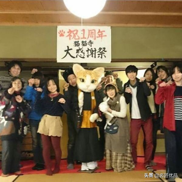 20岁少年建“猫猫寺”，和尚住持全是猫咪，网友：不敢撸不敢吸