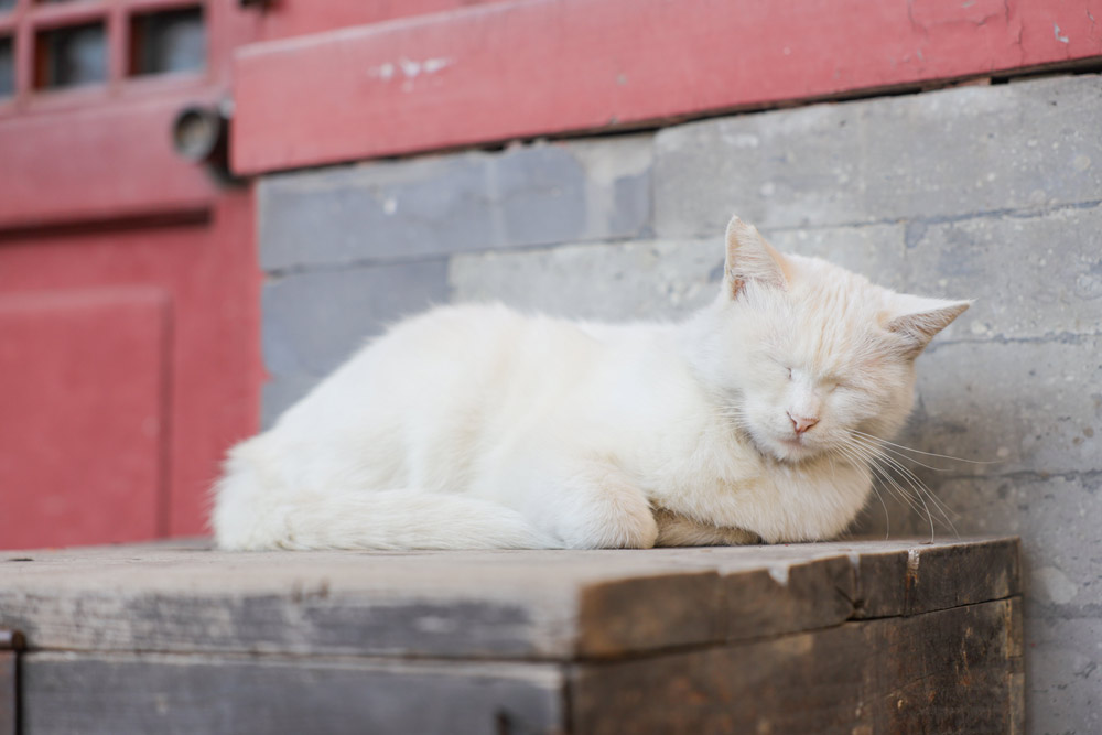 佳能eosm2值得买吗,佳能发布eosm200入门级无反相机