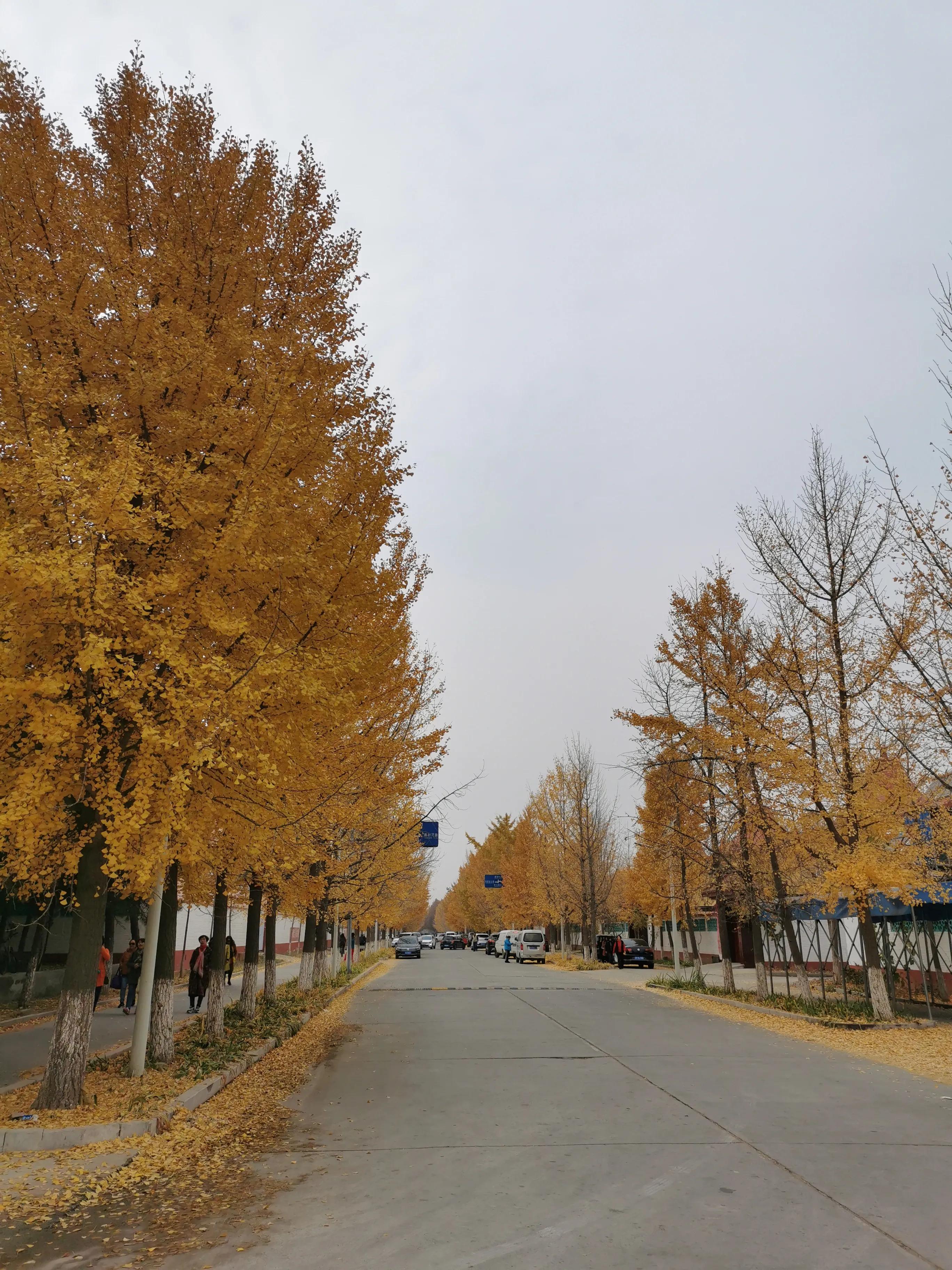 北京房山最美乡村项目,韩村河是中国十佳乡村吗