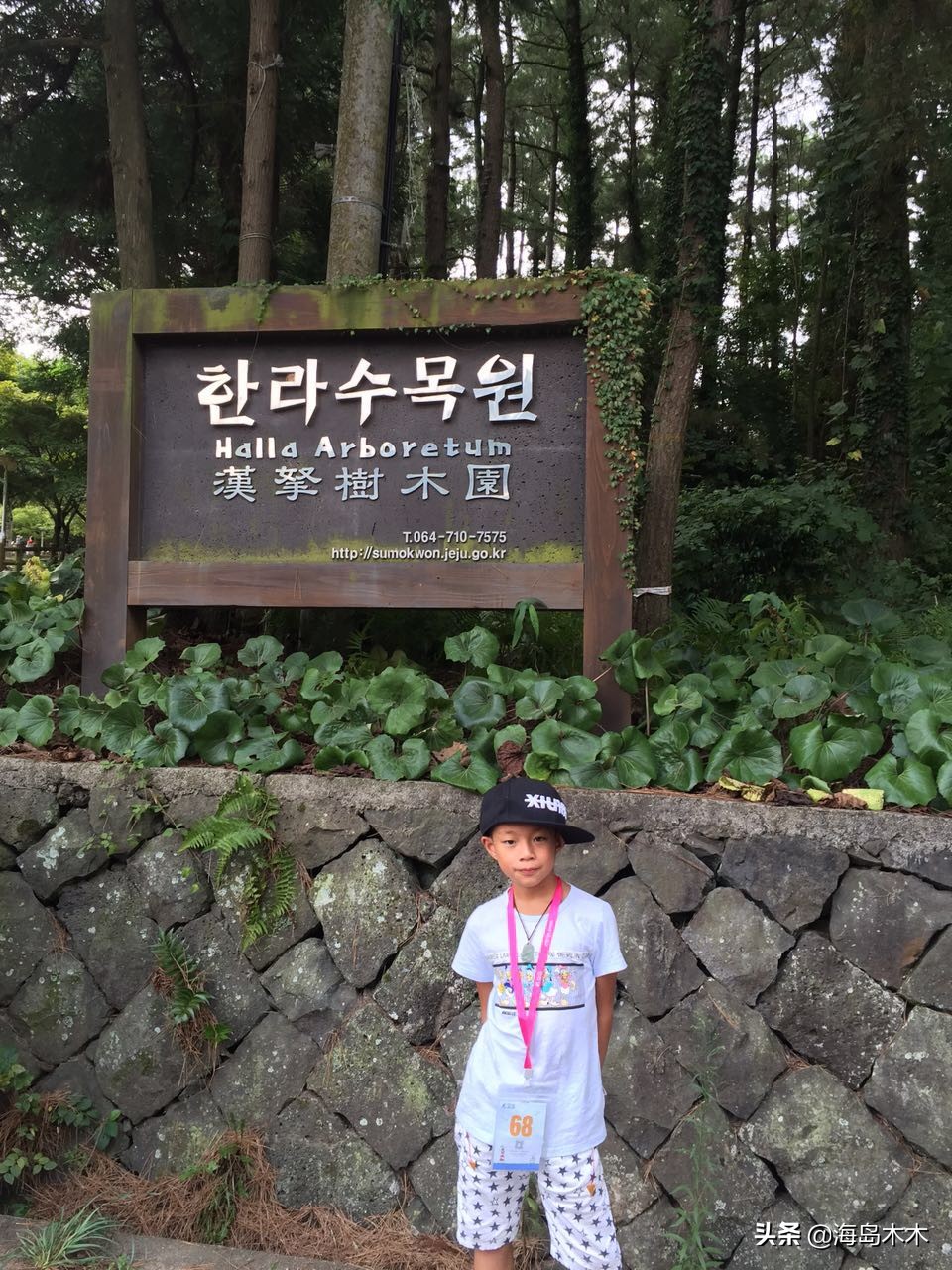 邮轮停靠韩国济州岛,中国去韩国济州岛邮轮