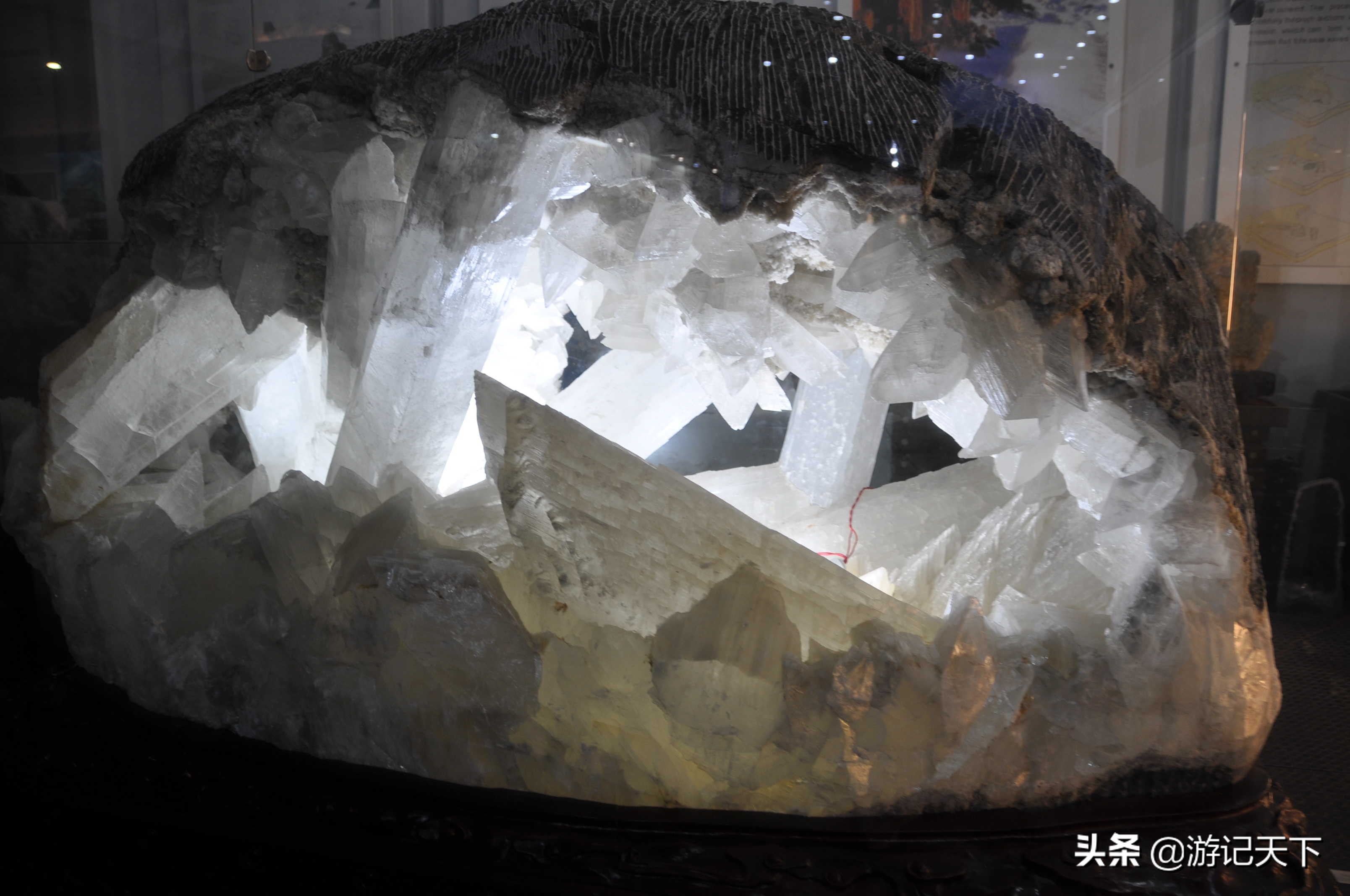 参观上海东方地质科普馆,上海东方地质科普馆需要预约吗