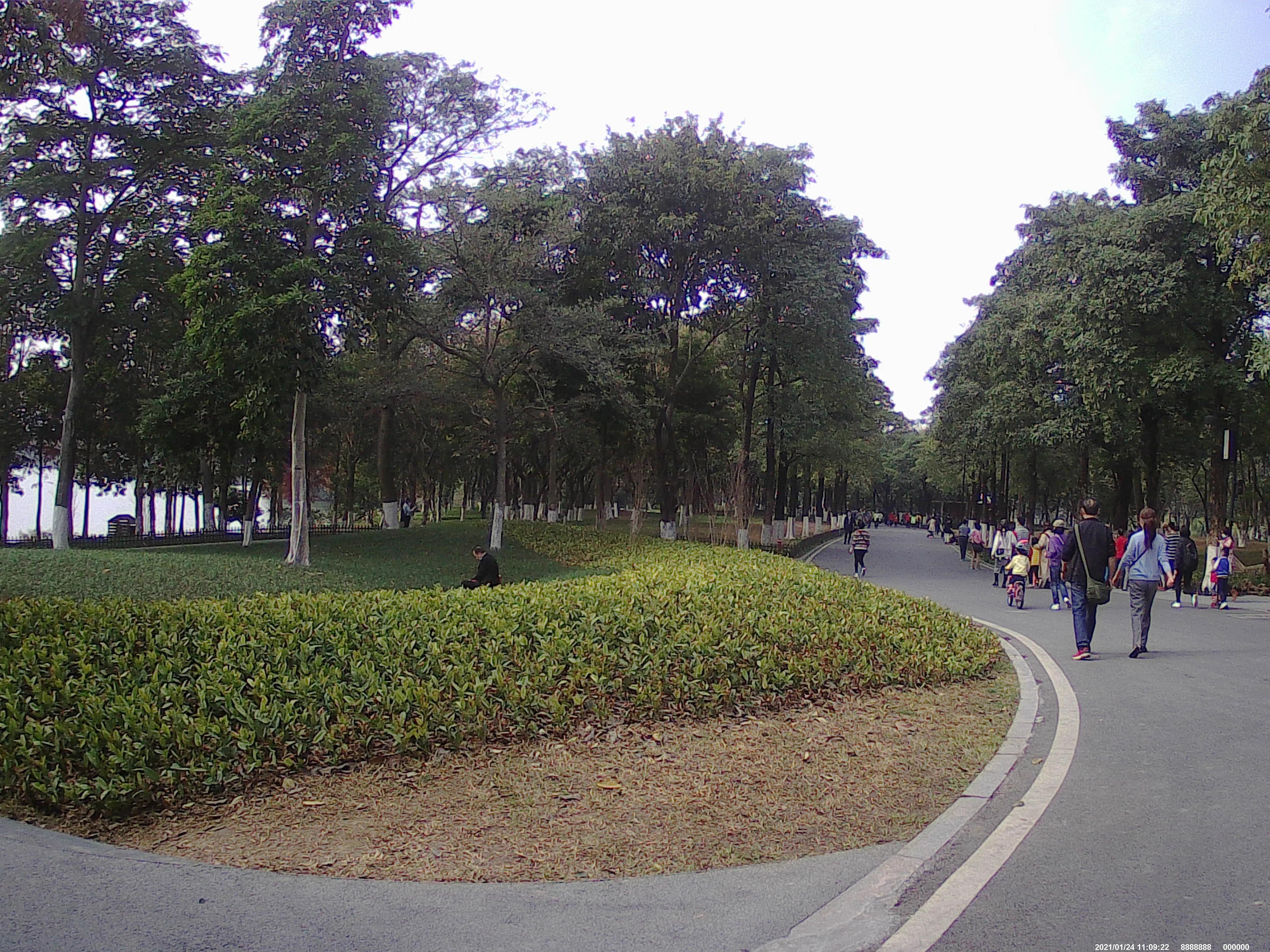 广州海珠湖,海珠湖变化