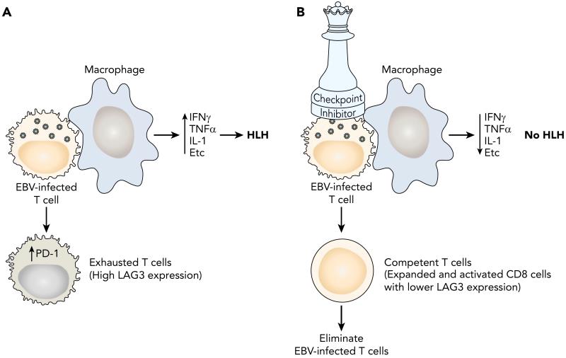 血液治疗新技术,血液学十大研究进展