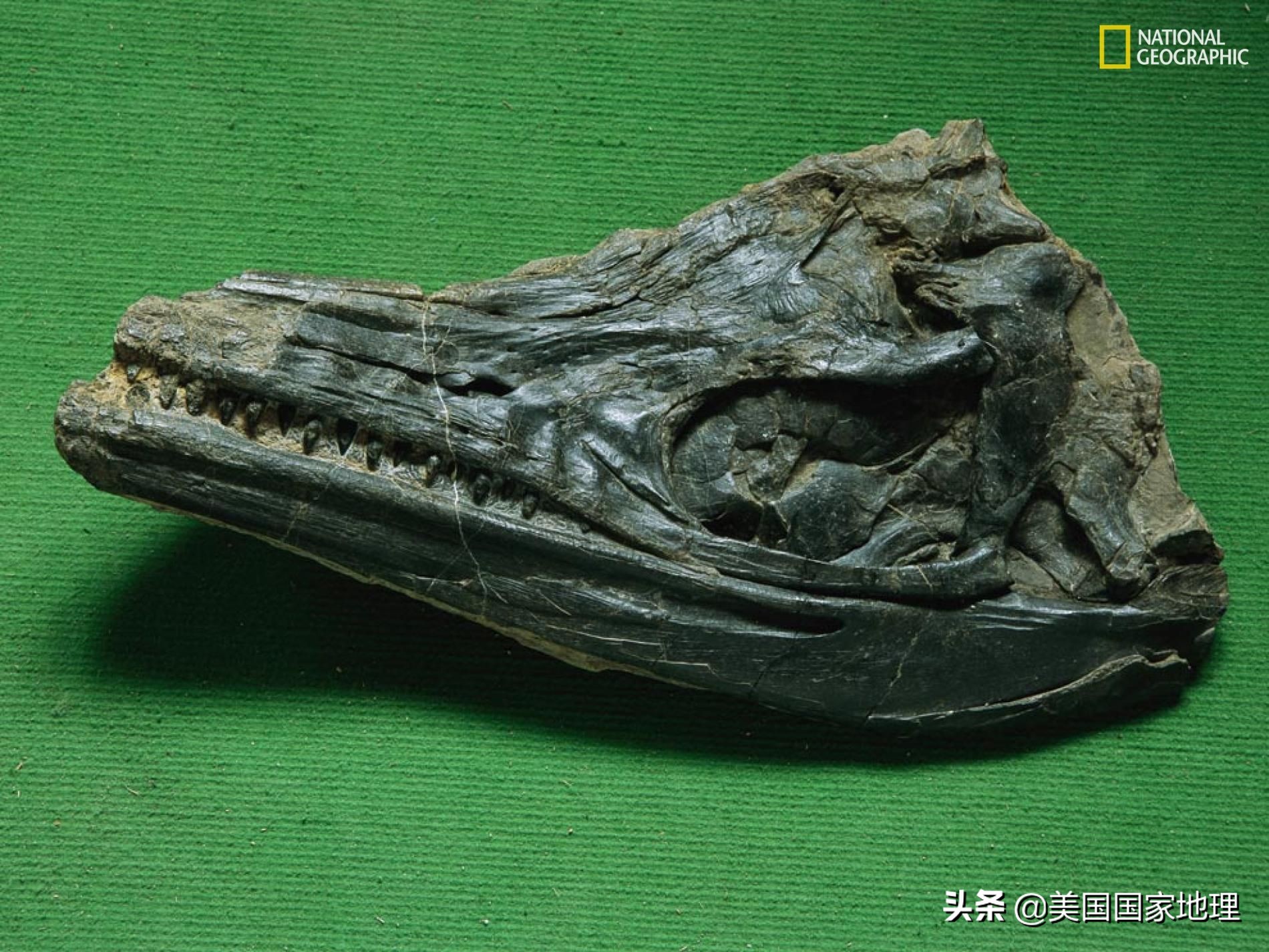 为什么两岁多的小孩得癌症,为什么小孩也得癌症