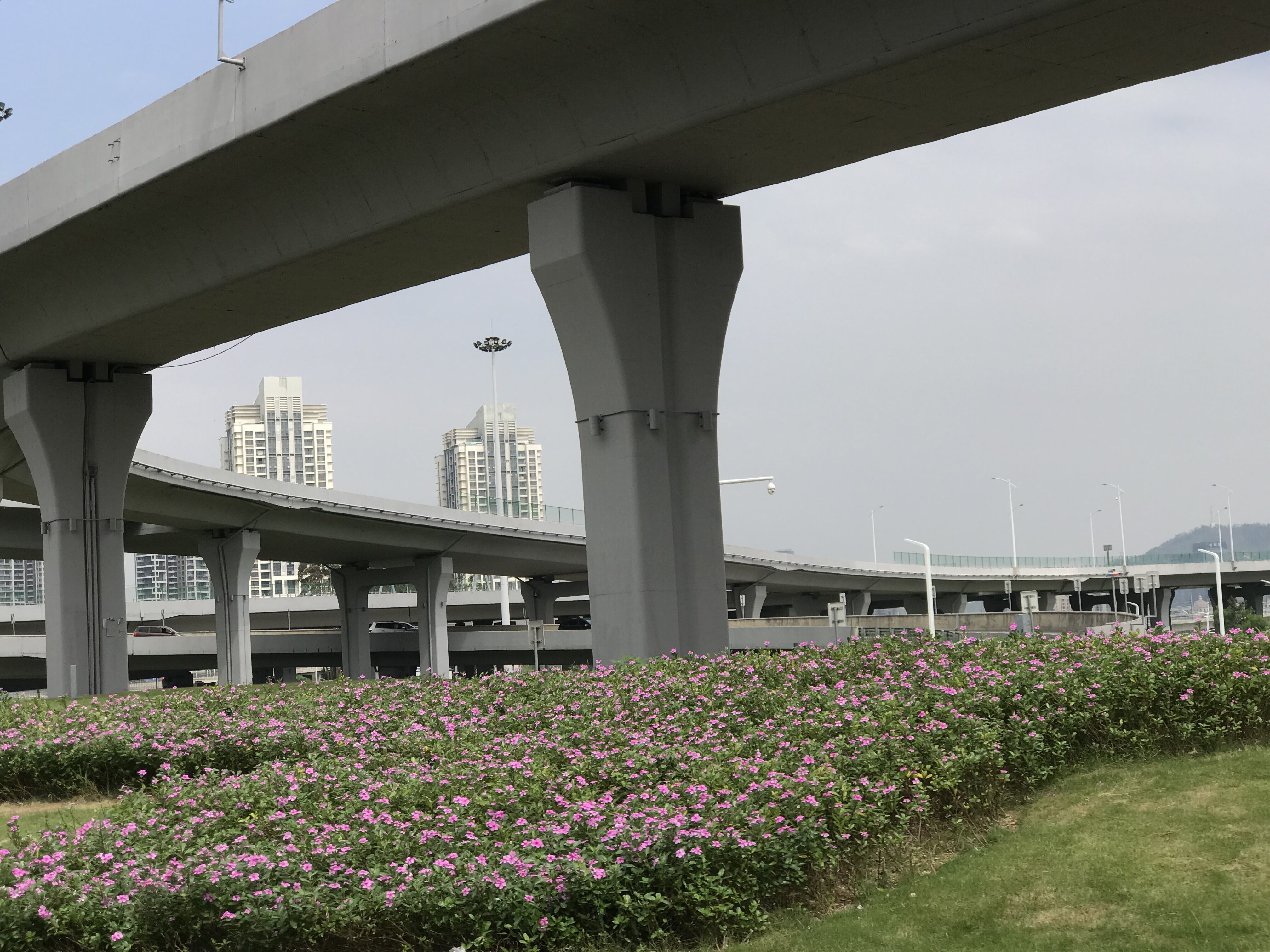 五一自驾野游珠海,珠海自驾游东北路线攻略