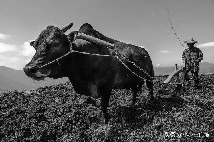 息县一亩三分地,绛县四分指在哪里