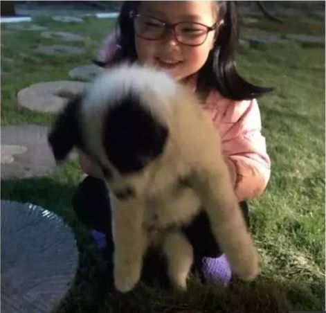 杭州9岁女童遇害之后：隔代帮忙“可以有”，隔代抚养“尽量别”