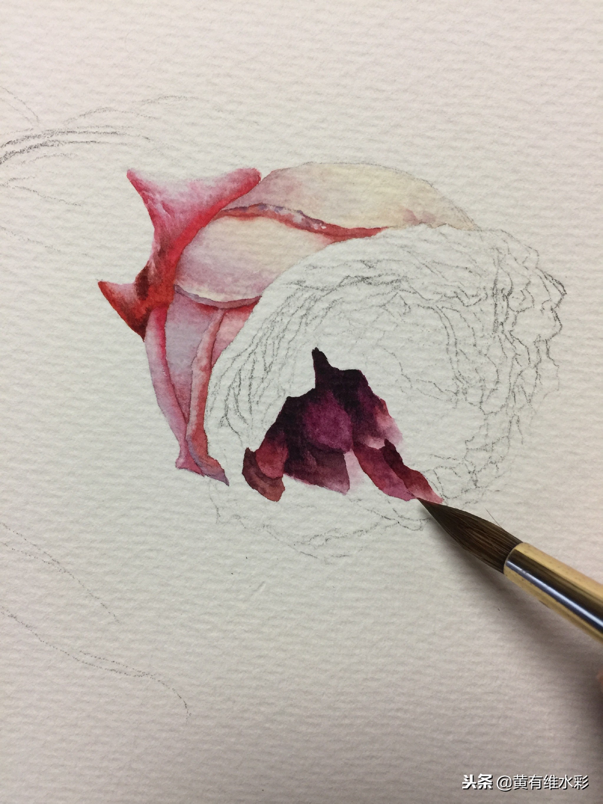 水彩教程简单好看手绘图片,水彩教程画花