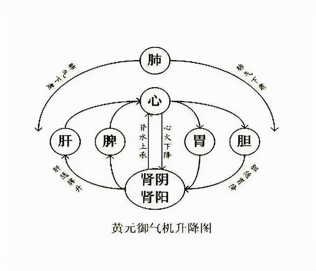 薏米能祛体内湿气吗,薏米真的能除去体内湿气吗