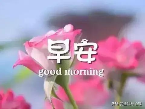 温暖的早安心语一句话正能量短句,早安心灵鸡汤励志正能量短句