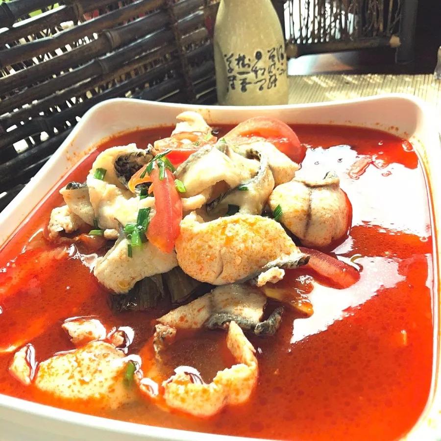 正宗贵州的酸汤鱼,一道酸菜鱼火遍大街小巷