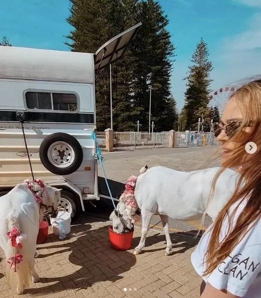 外国妹子冲进肯德基泼血怒吼：吃肉是大*杀屠**！网友们：有病？