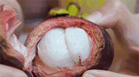 怎么挑选多肉山竹果实,山竹怎么选肉多无籽的