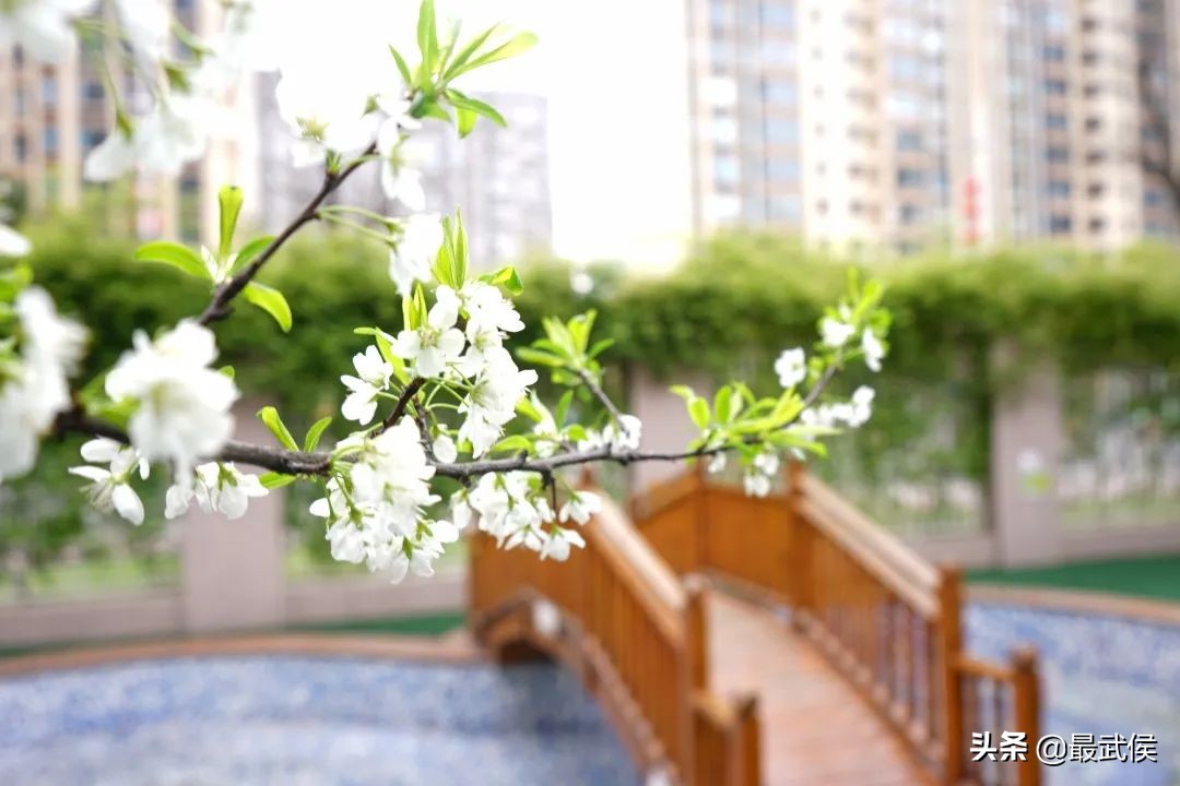 孩子开学生活步入正轨视频,开学后的校园生活