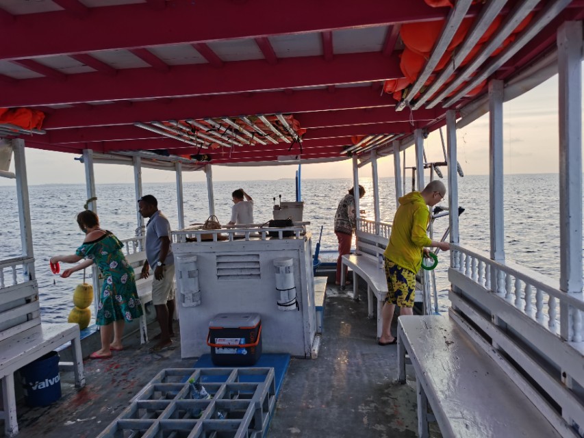 马累市区周边浮潜,马累本岛浮潜