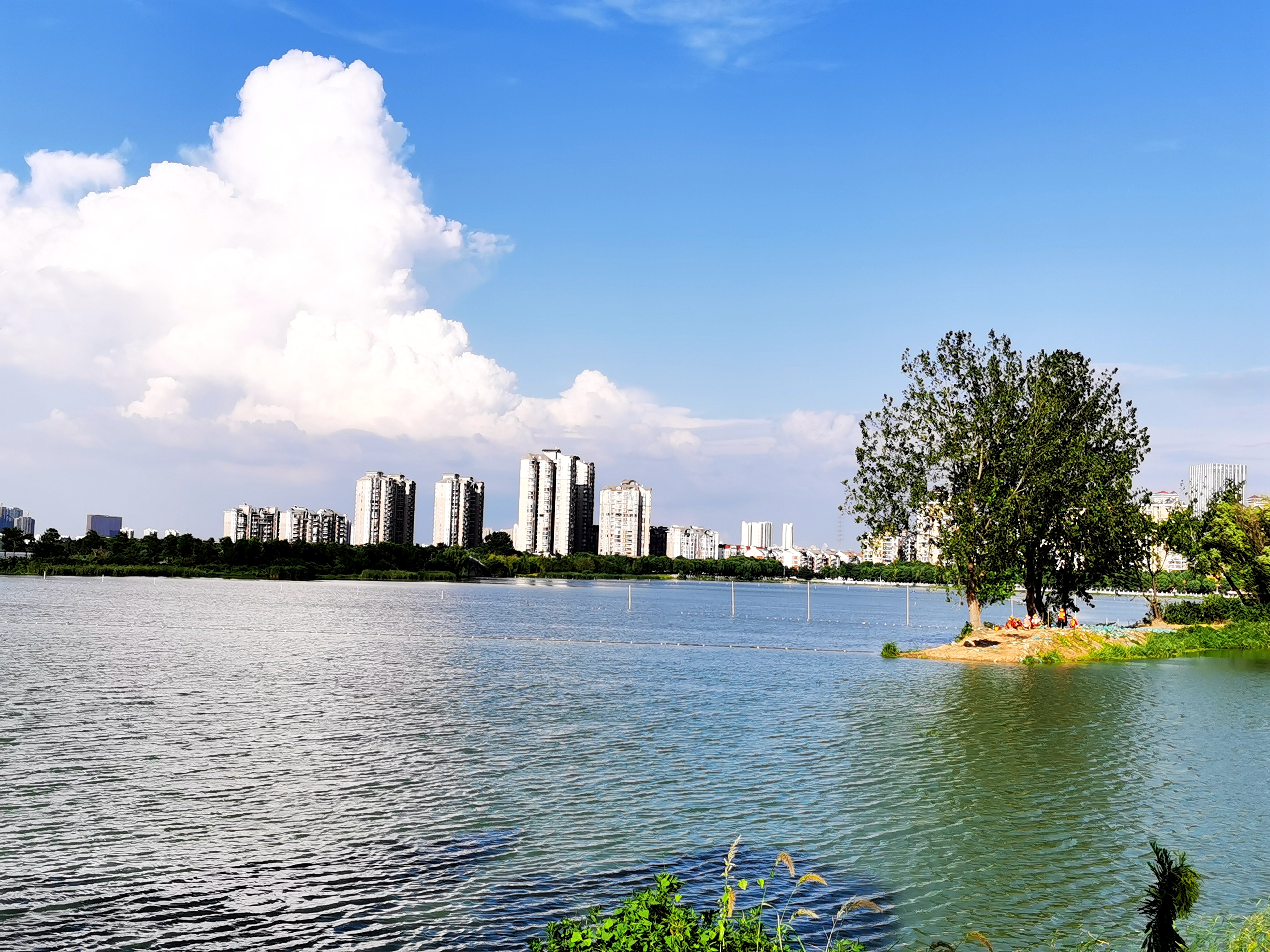 沉睡的历史与惊艳的现实——走读东西湖