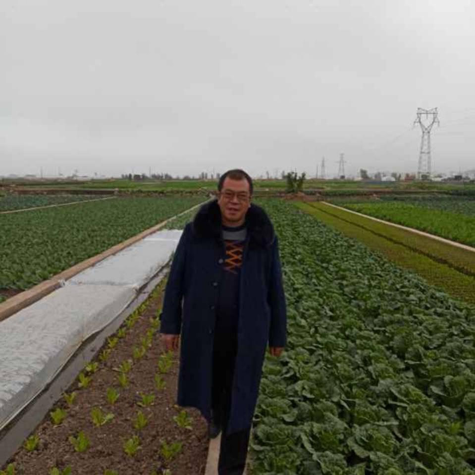 2024全国首届盛世杯,全国首届盛世千蕴杯诗词艺术大赛