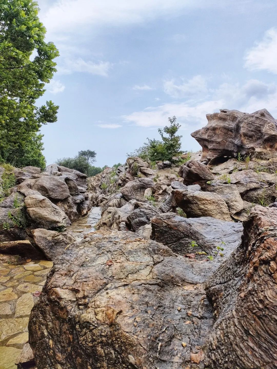 大连金石园奇石名称,大连市金石园