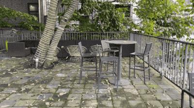 iphone11最新爆料价格成最大优点,iphone11系列测评