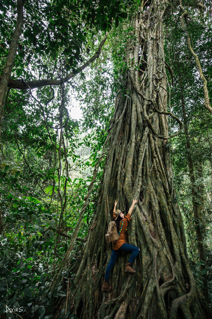 博悦旅游,云南西双版纳博悦