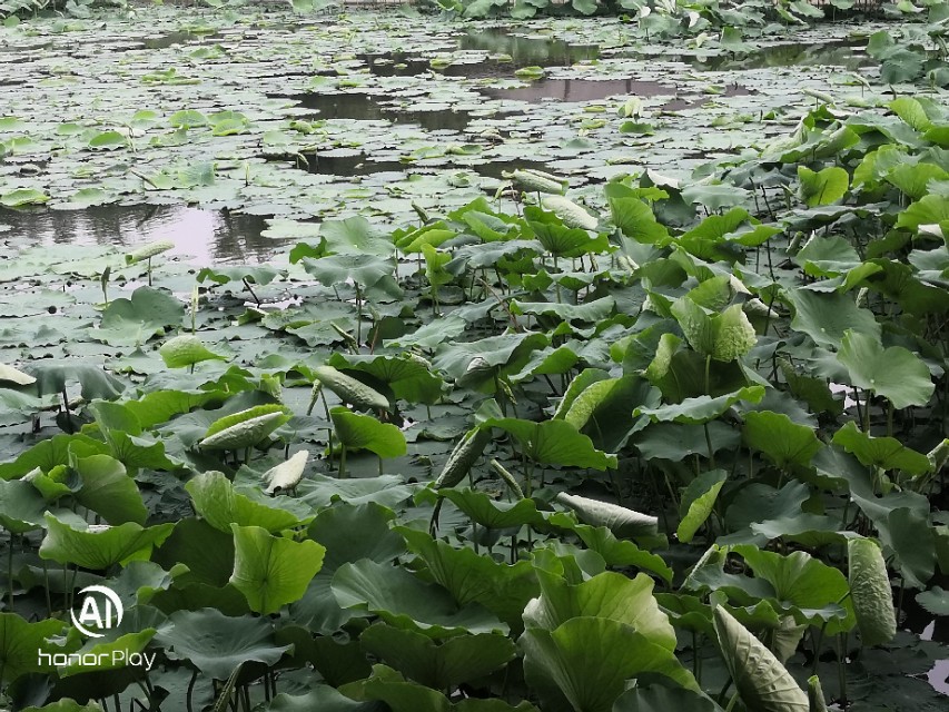 致永远回不去的童年六一儿童节,六一特辑致我们终将逝去的童年