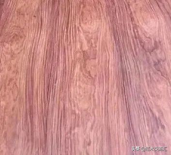 什么是巴里黄檀花枝,微凹黄檀是花枝吗