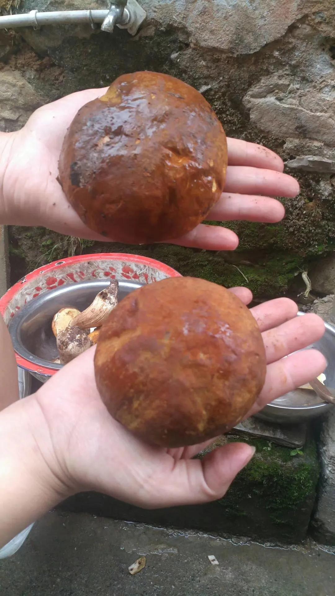 一家三口的田园生活,一家三口在大理的田园边租房15年