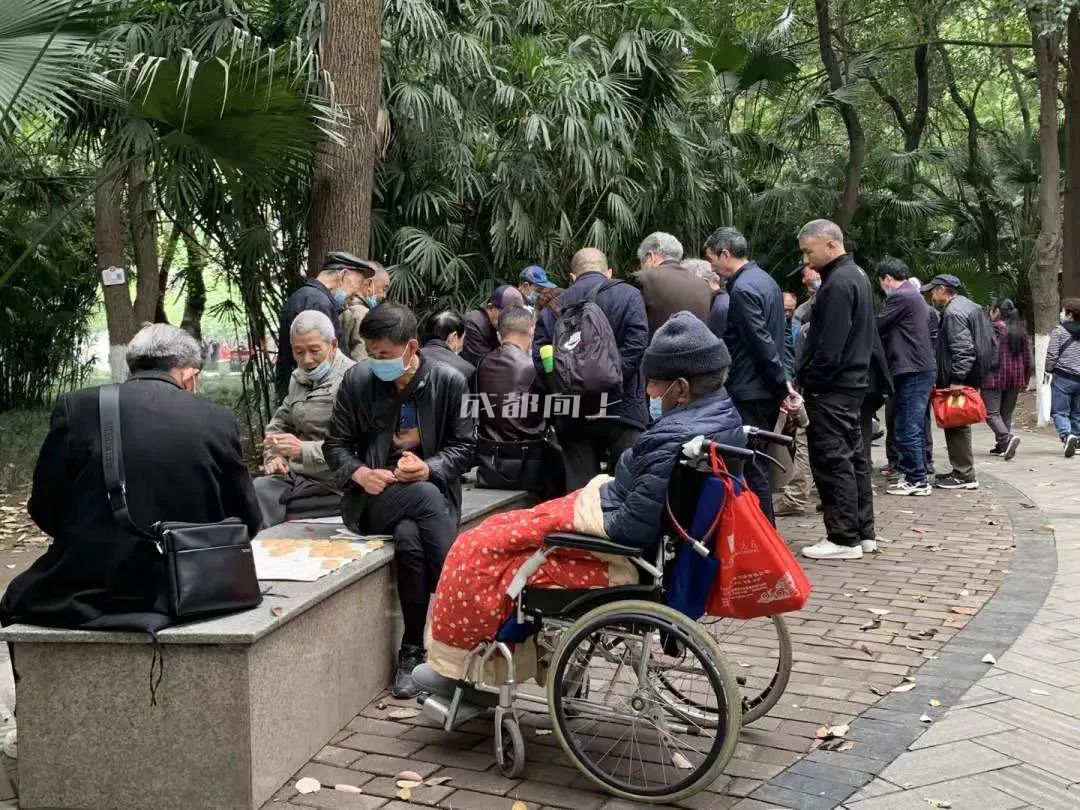 成都公园运营模式,成都公园维护成本