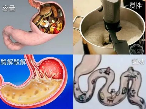 宝宝吐奶属于消化不良吗,宝宝吐奶和溢奶的区别