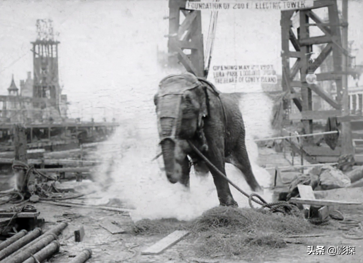 3万人打一星,骇人听闻