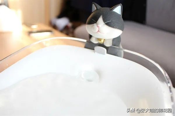 宠物饮水机漏电又爆炸？怎样才能选到安全放心的宠物饮水机？