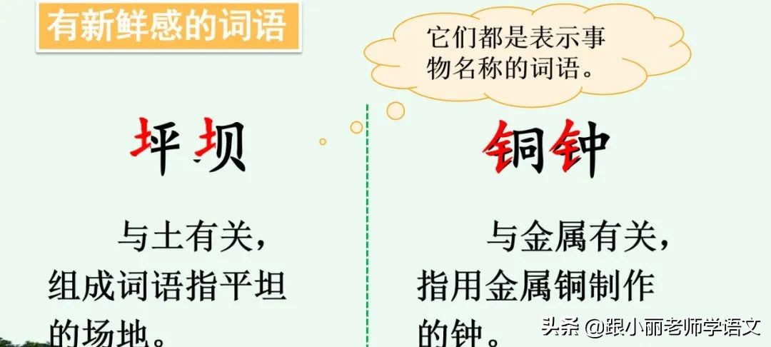大青树下的小学重要背诵内容,大青树下的小学必会知识点