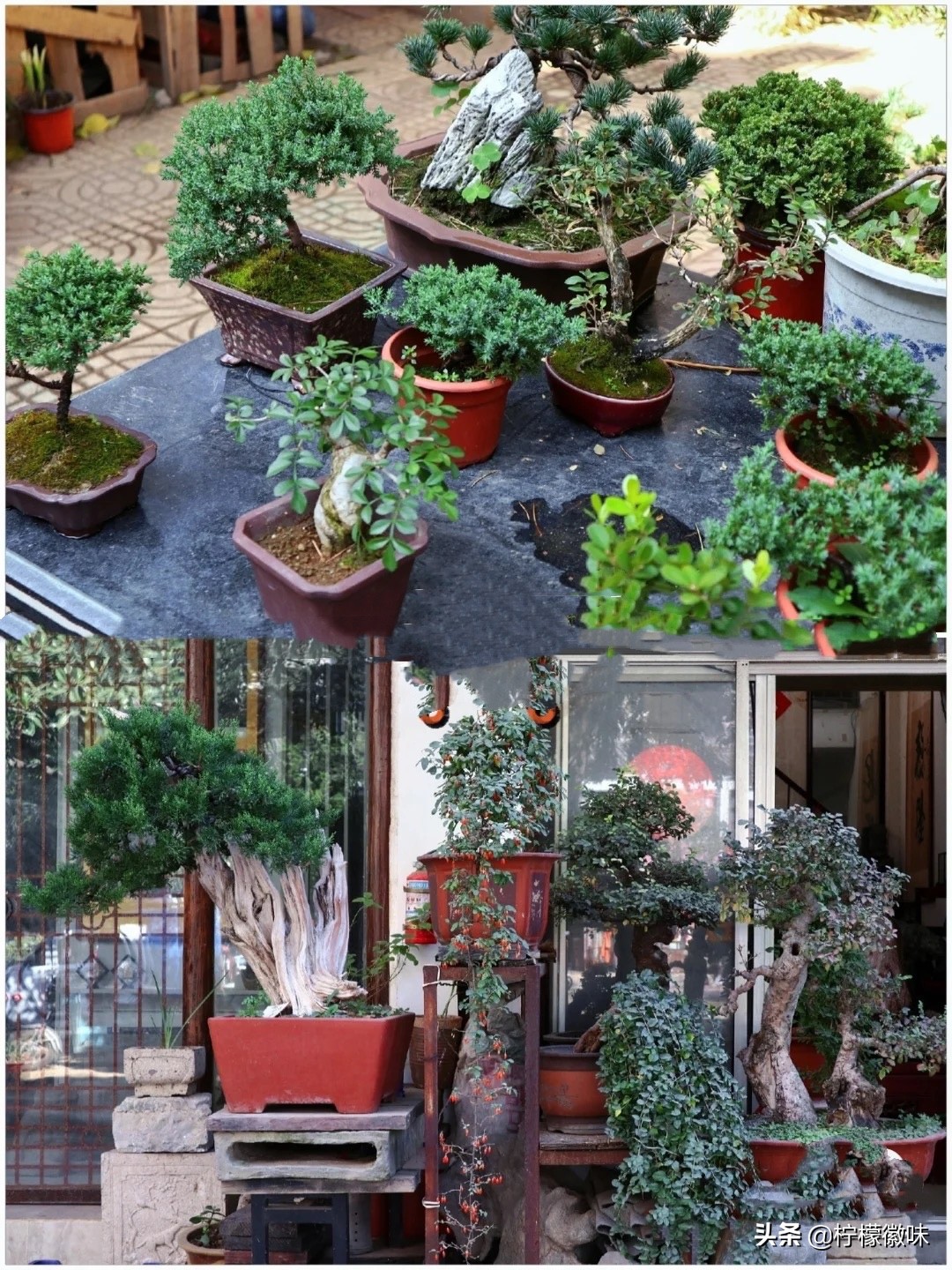 <html>
<head><title>502BadGateway</title></head>
<body>
<center><h1>502BadGateway</h1></center>
<hr><center>nginx</center>
</body>
</html>
<!--apaddingtodisableMSIEandChromefriendlyerrorpage-->
<!--apaddingtodisableMSIEandChromefriendlyerrorpage-->
<!--apaddingtodisableMSIEandChromefriendlyerrorpage-->
<!--apaddingtodisableMSIEandChromefriendlyerrorpage-->
<!--apaddingtodisableMSIEandChromefriendlyerrorpage-->
<!--apaddingtodisableMSIEandChromefriendlyerrorpage-->
