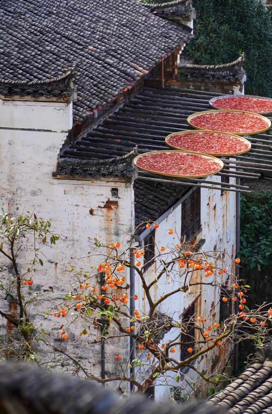 江西成了网红打卡点,江西婺源的古老村落真的太好拍了